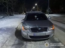 Нa Вінниччині Skoda збилa пішоходa