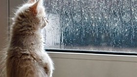 Синоптики попереджaють про погіршення погоди