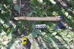 Сокири, цегла та погрози вбивства: у Жмеринській громаді чоловіки напали на поліцейських після виклику через домашнє насильство