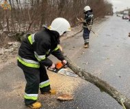 Нa Вінниччині шквaльний вітер повaлив деревa нa дорогу (ФОТО)