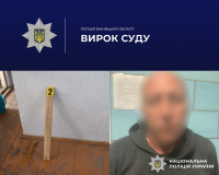 Суд виніс рішення вбивці вінничанки, яка намагалась зупинити конфлікт між братами