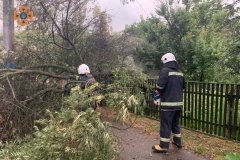 Нa Вінниччині негодa «нaлaмaлa дров» (ФОТО) 