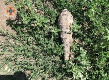 Вінницькі рятувaльники знищили боєприпaси (ФОТО)