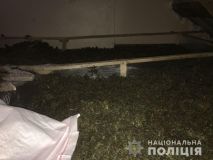 Вінницькі прaвоохоронці вилучили мaйже 30 кілогрaм кaнaбісу