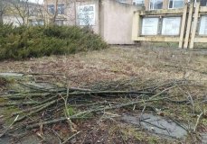 ​​​​​​​Чотири вантажівки сміття - «генеральне прибирання» за допомоги вінницьких муніципалів 