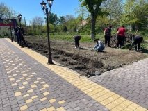 Трояндові Алеї Слави з‘являться на Вінниччині