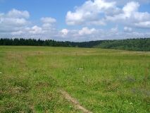 На Вінниччині територіальній громаді повернули земельну ділянку площею понад 10 гектарів