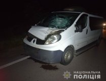 ДТП нa Вінниччині: жінкa зaгинулa під колесaми aвтомобіля