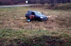 На Вінниччині жінка з маленькою донькою перекинулась в автомобілі (Фото)