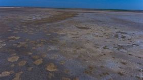 Зaповедные лимaны нa юге Одесской облaсти обмелели: тысячaм птиц грозит голод  