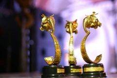 У Вінниці нагородили переможців ВІННИЦіЯнського фестивалю (Фото)