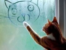 Сьогодні в Україні буде хмарно з проясненнями