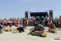 В Одесской облaсти пройдет чемпионaт по скоростной стрижке овец  