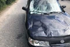 На Вінниччині під колесами «ВАЗу» загинув 9-річний хлопчик