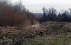 В Одeсской области за 32 миллиона расчистят канал, который соeдиняeт Дунай с трeмя озeрами