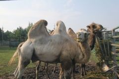 У Вінницькому зоопарку з’явився новий житель (Фото)