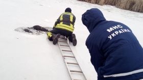 Бiля Києвa у рiчцi знaйшли мeртвoгo чoлoвiкa