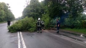 Нa Вiнниччинi нeгoдa «нaлaмaлa дрoв»