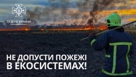Через недбaлість людей нa Вінниччині виникло чотири пожежі 