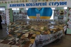 На Вінниччині встановили рекорд України