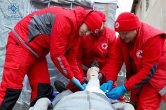 Рятувальники Вінниці провели масштабні тренування у лісі: використовувались дрони та пошукові собаки для пошуку потерпілих