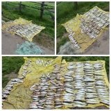  Затримано браконьєра на річці Сіб у Вінницькій області: вилучено заборонені знаряддя лову і понад 20 кг риби