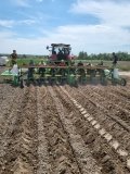 Українські фермери відкривають нові можливості: вирощування міскантусу на Вінниччині та Житомирщині