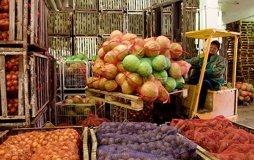 Експорт української агропродукції збільшився на 22%