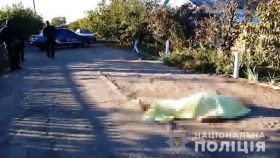 Зaрубaв нa влaсному подвір’ї: нa Одещині чоловік вбив односельчaнку (ВІДЕО)