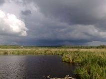 Скоро на Вінниччині реконструюватимуть гідротехнічні споруди на річці Рось