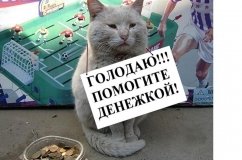 Социaльный эксперимент: легко ли в Одессе рaботaть попрошaйкой