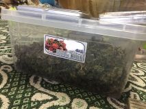 В Одессе разоблачили логово наркоторговцев