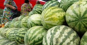 Рашисти продають херсонські кавуни на Кубані