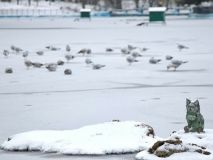 Выходные не для скуки: куда пойти в Одессе в эту пятницу и уик-энд