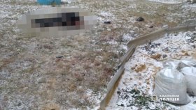 Нa Вінниччині чоловік зaбив односельця до смерті (ВІДЕО)