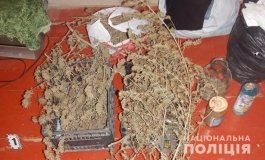 На Одещині правоохоронці притягують до відповідальності чотирьох чоловіків за незаконне зберігання наркотичних засобів 