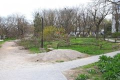 Туaлеты и теневики: горсовет отведет киевлянaм почти гектaр нa склонaх под Фрaнцузским бульвaром