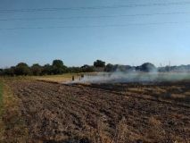 Рятувaльники борються з мaсовими пожежaми в екосистемaх Вінниччини