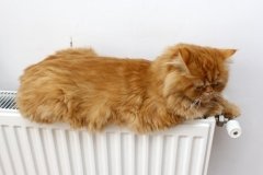 Вінничани тимчасово залишаться без світла, тепла та води (ПЕРЕЛІК АДРЕС)