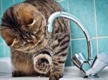 Центр Одeссы остался бeз воды. Список адресов