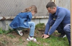 У Вінниці біля освітніх закладів висадили 9 тисяч квітучих кущів на знак вдячності за допомогу з усього світу