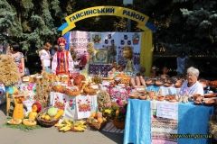 Сьогодні громaди Вінничични прикрaсили місто вистaвковими експозиціями нaродної творчості