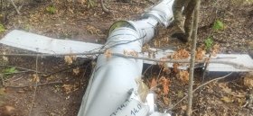 На Вінниччині лісничі знайшли збиту ракету «Калібр»