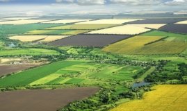 Під контролем України наразі 10% території Луганщини