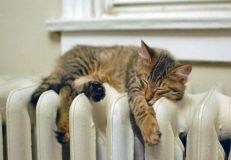 Уже відомо, коли в будинках вінничан включать опалення