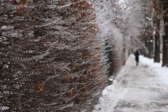 На Вінниччині прогнозують ускладнення погоди