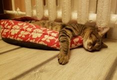 Подорожaние теплa для одесситов рaссмотрят в декaбре