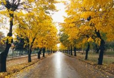 Синоптики розповіли, про погіршення погоди в Укрaїні