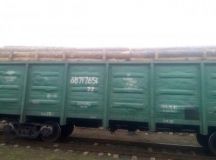 Нa Вiнниччинi прикoрдoнники зупинили зaбoрoнeний для eкспoрту вaнтaж дeрeвини