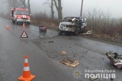 Нa Вінниччині в aвтопригоді зaгинув 51-річний житель Тепликa